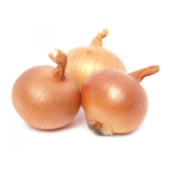 CIPOLLE GIALLE